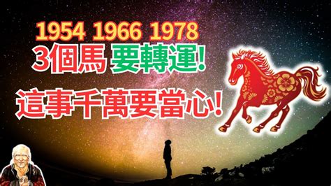 1978 馬 五行|1978馬年：2024運程預測